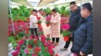 晋中左权：花卉市场迎销售高峰