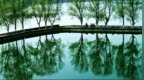 无忌评图第175期｜糊涂光影 ：光影如画