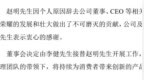 荣耀新掌门，何许人也？