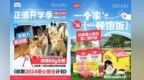 玫斯 METZ ｜携手155高校流浪猫救助社团，助力流浪猫温暖过冬！