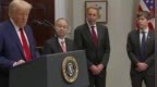 4年投5000亿全力构建AGI 一个视频看懂让外网沸腾的“星际之门”计划