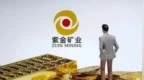 金价又新高背后，四家金矿公司多赚128亿