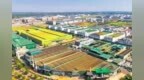 潼南：强制造、硬科技 加快推进制造业质量变革、效率变革、动力变革