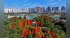 新增2家！樟树市创业培训定点机构数量已达8家