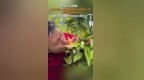 全国各类返乡入乡创业人员超<em>1200</em>万人