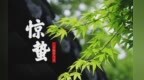 聊聊惊蛰那些事儿