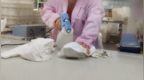 一次性内裤爆雷！不杀菌直接贴灭菌标签，涉及浪莎等品牌