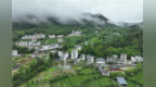 春到园村