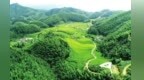 今年国家投资超22亿元，用于江西造林绿化