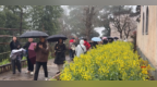 2025踏春记丨泰国游客盛赞江西：一生当中必来的地方