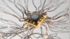 夏禹洞察|微伏级信号精准调控：高增益LNA助力高通量BCI