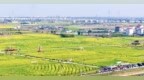 南昌县：春日盛景（图）