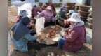 鲁山县：引入新技术严把春季柞蚕制种质量关