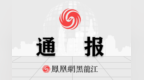 黑龙江省绥化市鑫源城市建设投资发展有限公司原董事长王联生接受纪律审查和监察调查