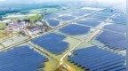 江西广昌：让“零号员工”精心助企惠企