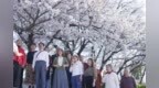 樱花大道下的红色浪漫：市民热浪中唱响家国情怀