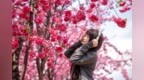 春日“出片”指南