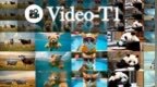 视频生成的测试时Scaling时刻！清华开源Video-T1，无需重新训练让性能飙升