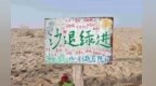 志愿者跨越千里充“植”　到民勤种树为“沙”这么火