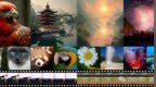 13.8倍吞吐提升！浙大上海AI Lab等提出视觉生成新范式，从“下一个token”到“下一个邻域”
