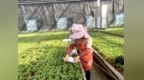 邳州刘集：增收致富有“花”招