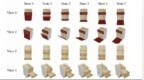 铰链物体的通用世界模型，超越扩散方法，入选CVPR 2025