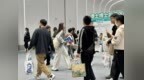 “百万英才汇南粤”首站北京启航，南沙700+岗位释放湾区引才强磁场