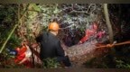 “野游”进山被困，游客李某某获救后被黄山警方处罚！