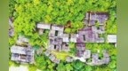 陇南古居韵　岁月雕梁间