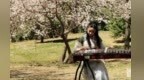 “杏”绘甘州　赏花春游