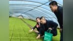 “油城红领金”助力春耕生产“加速度”