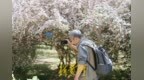 泉城猬实花开引客来