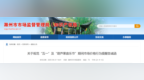 安徽滁州最新发布！事关音乐节