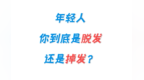 如何判断自己是脱发还是掉发？
