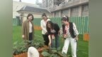 合肥市直属机关幼儿园总园：督学引航 助力前行——迎接督学检查指导工作