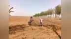高原夏菜春种忙　崆峒群众“蔬”通致富大道