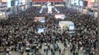 “五一”假期多地接待游客量两位数增长，出境游订单井喷