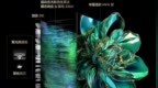 TCL T6L <em>Pro</em>系列正式上市 拥有万象分区 国补2959元起