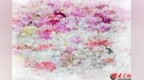 当芍药、小溪、雾森、汉服结合，菏泽冠宇牡丹园“浣纱溪”打造“水上花海”