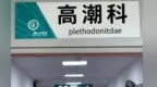 小红书上“种”出的“高潮针”竟是伪科学？
