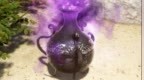 《黑色沙漠》4月24日更新公告：新猎场皮尼斯岛开放，多项优化上线