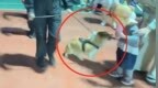 “抢夺小朋友烤肠”，柯警福仔被通报批评！后续来了