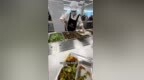 又一家政府食堂被挤爆了！游客队伍从门口排到了大院
