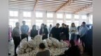 金融+地标！邳州地理标志工作再添新成果