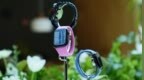 Apple Watch热卖十年，它到底做对了什么？