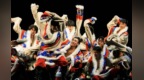 甘肃一作品入选国家优秀<em>舞蹈</em>节目展演