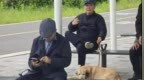 尹锡悦被拍到在公园“悠闲遛狗”，身边带着3名保镖