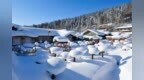 龙江森工集团：以绿水青山为笔 书写森林旅游新画卷