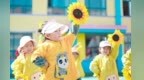 村里有地城里有房　金川区村居融合有多惠民