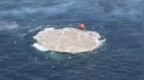 印度军方宣布成功测试一款新型水雷